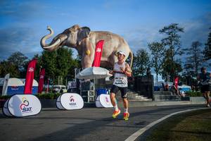 BIB: 
                            <button type="button" onclick="openModal(26541810)" class="btn btn-primary btn-sm float-right btn-popup" data-toggle="modal" data-target=".modal-high-quality">
                        <i class="fas fa-shopping-cart"></i> Add to Cart
                    </button>
                                            <button type="button" onclick="isThisMe(26541810, true)" class="btn btn-success btn-sm float-right btn-popup btn-isme hidden" data-toggle="tooltip" data-placement="bottom" title="นี่คือรูปของคุณใช่ไหม คลิกที่นี่เพื่อเอาเข้าอัลบั้ม">
                        <i class="fas fa-plus"></i> Add to album
                    </button>
                    <button type="button" onclick="isThisMe(26541810, false)" class="btn btn-warning btn-sm float-right btn-popup btn-isnotme hidden">
                        <i class="fas fa-ban"></i> Remove from album
                    </button>